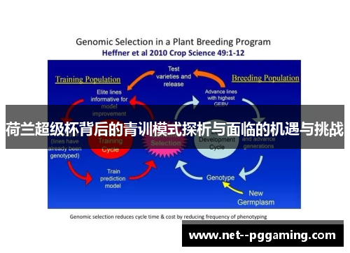 荷兰超级杯背后的青训模式探析与面临的机遇与挑战 荷兰超级杯背后的青训模式探析与面临的机遇与挑战
