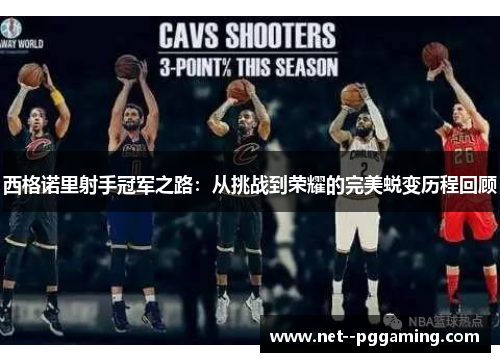 西格诺里射手冠军之路：从挑战到荣耀的完美蜕变历程回顾