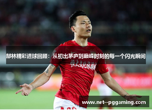 郜林精彩进球回顾:从初出茅庐到巅峰时刻的每一个闪光瞬间 郜林精彩进球回顾:从初出茅庐到巅峰时刻的每一个闪光瞬间
