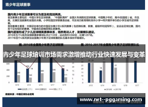 青少年足球培训市场需求激增推动行业快速发展与变革
