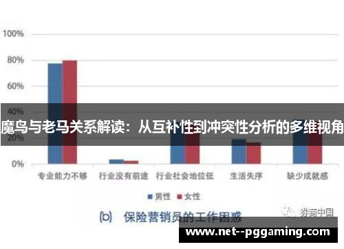 魔鸟与老马关系解读：从互补性到冲突性分析的多维视角